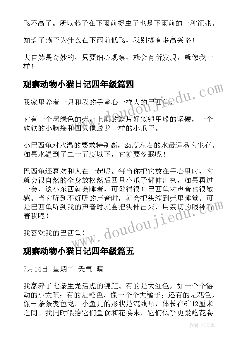 2023年观察动物小猫日记四年级(通用14篇)