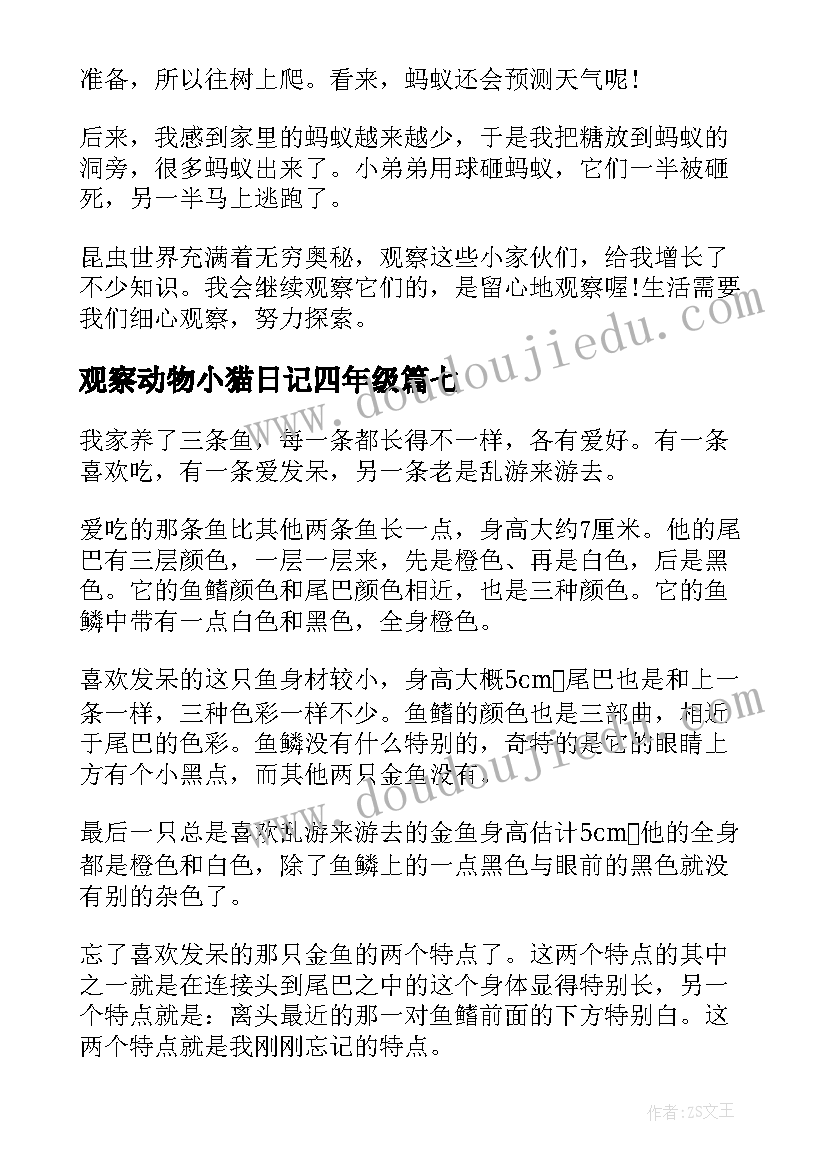 2023年观察动物小猫日记四年级(通用14篇)