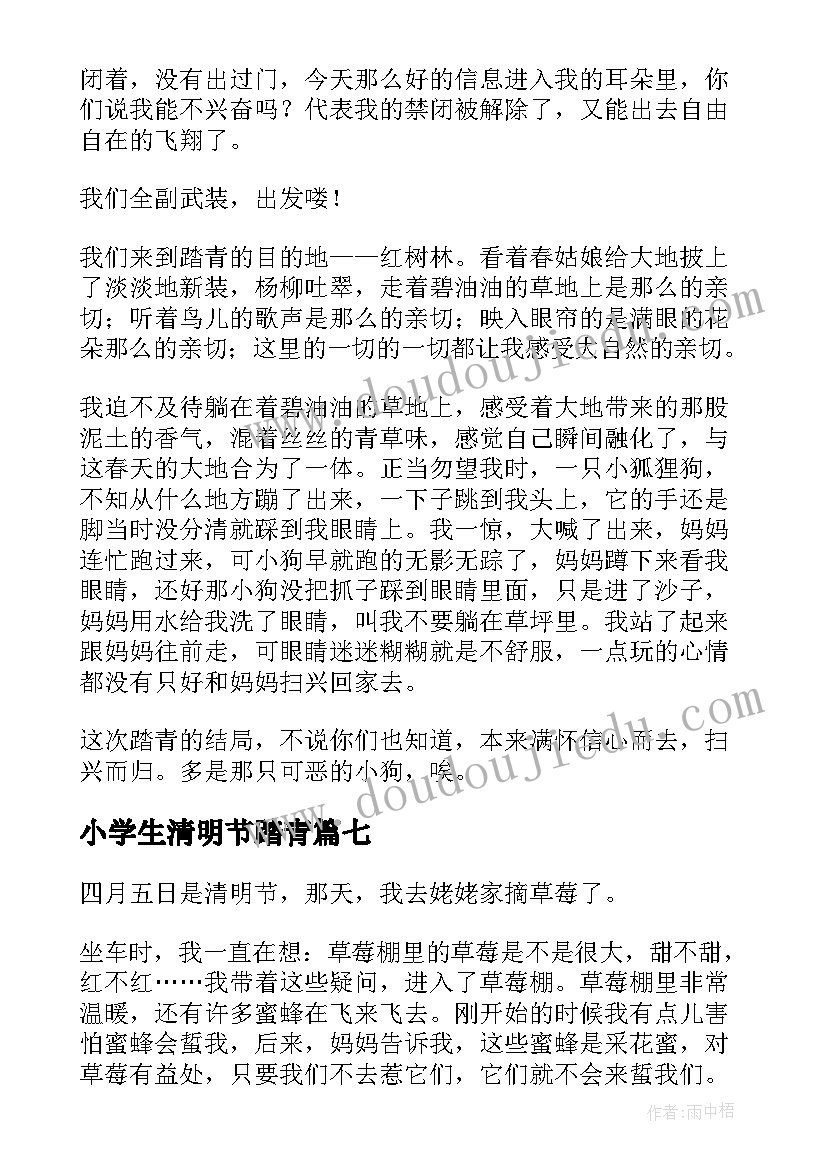 小学生清明节踏青 小学生清明节踏青日记(优秀8篇)