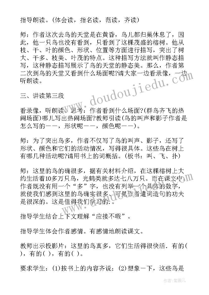 最新鸟的天堂第二课时教案课堂实录(优质8篇)