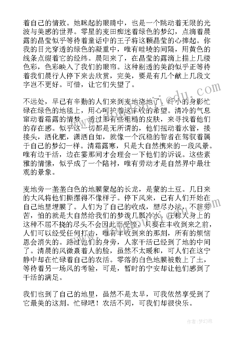 最新美的抒情散文(精选8篇)