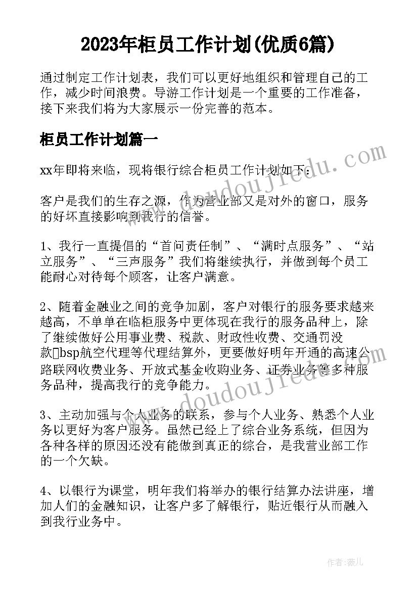 2023年柜员工作计划(优质6篇)