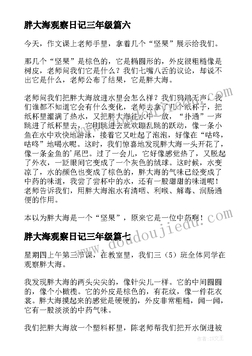 2023年胖大海观察日记三年级(通用8篇)