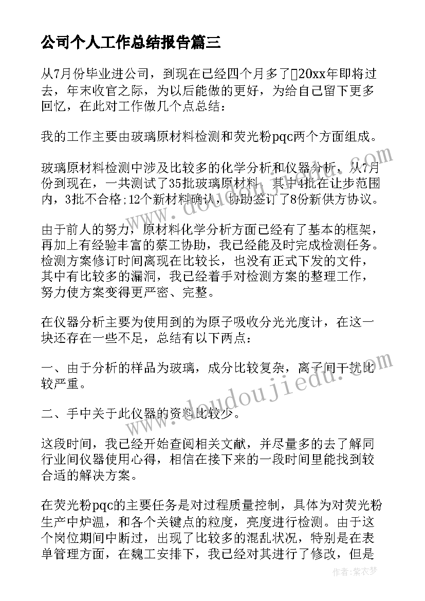 公司个人工作总结报告(通用8篇)