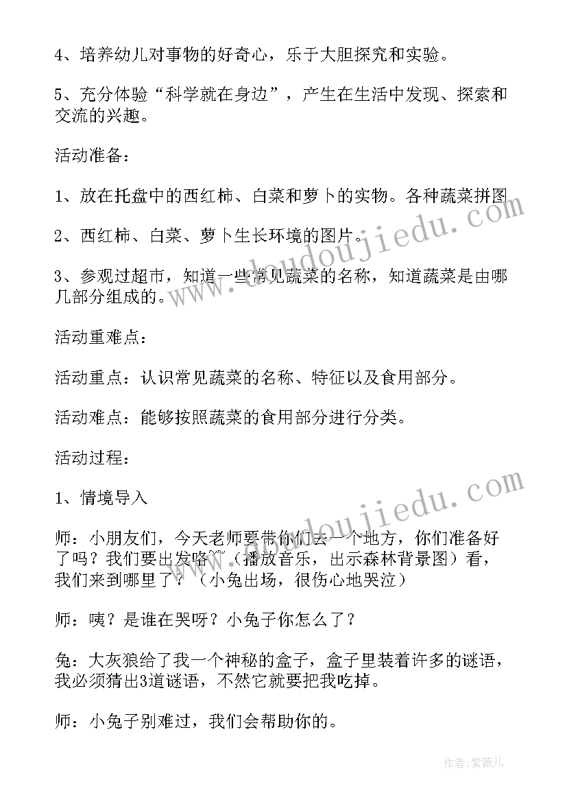 最新雷公公的样子 雷公公和啄木鸟中班教案(大全8篇)