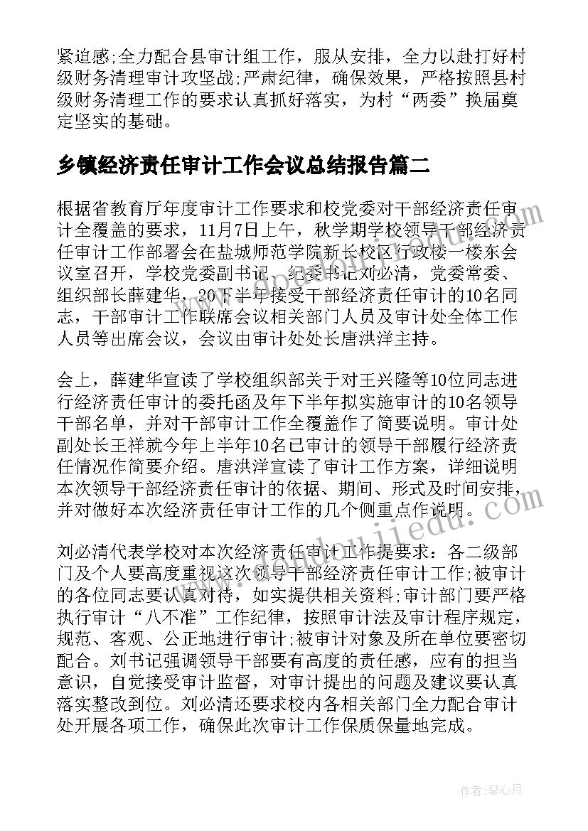 乡镇经济责任审计工作会议总结报告(优秀8篇)