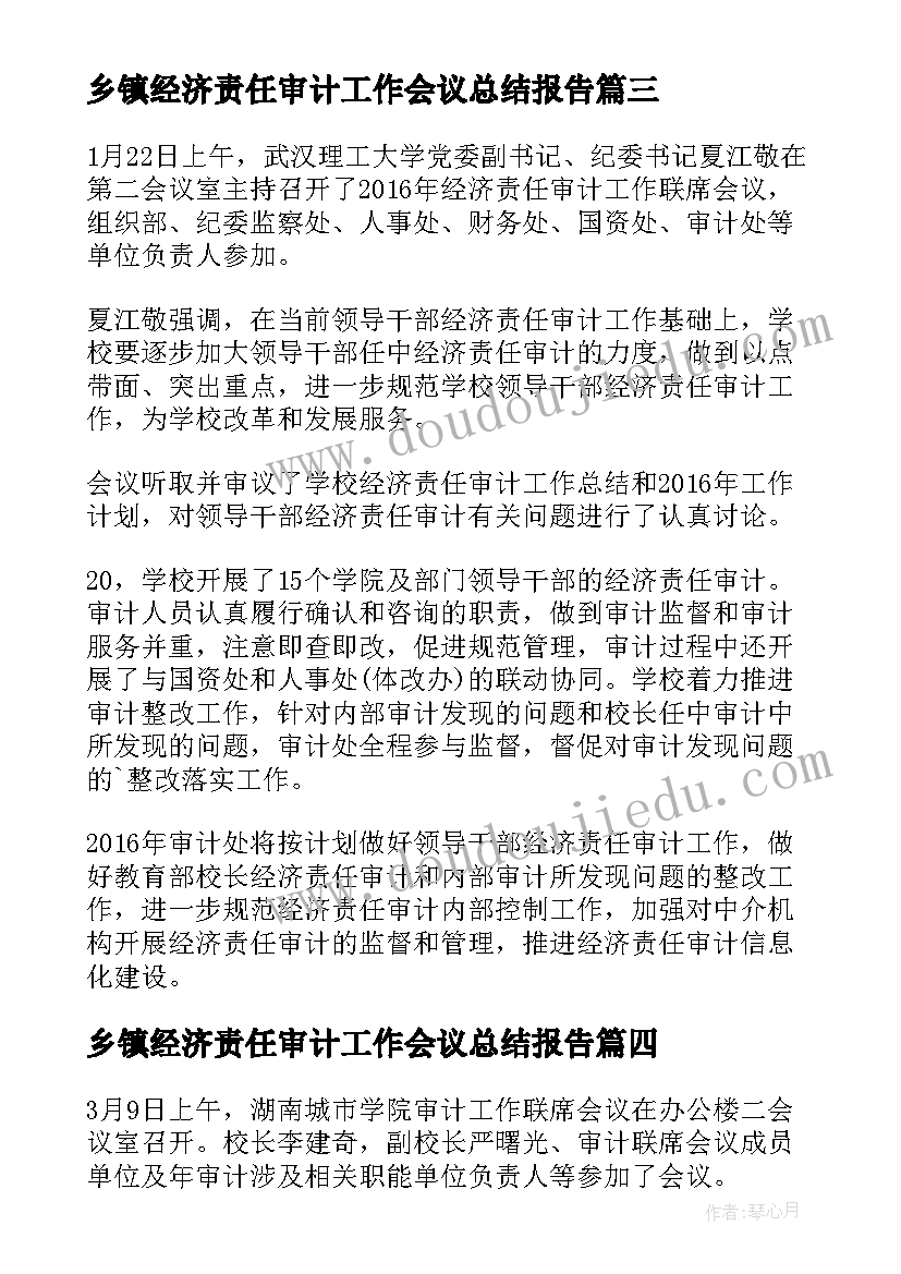 乡镇经济责任审计工作会议总结报告(优秀8篇)