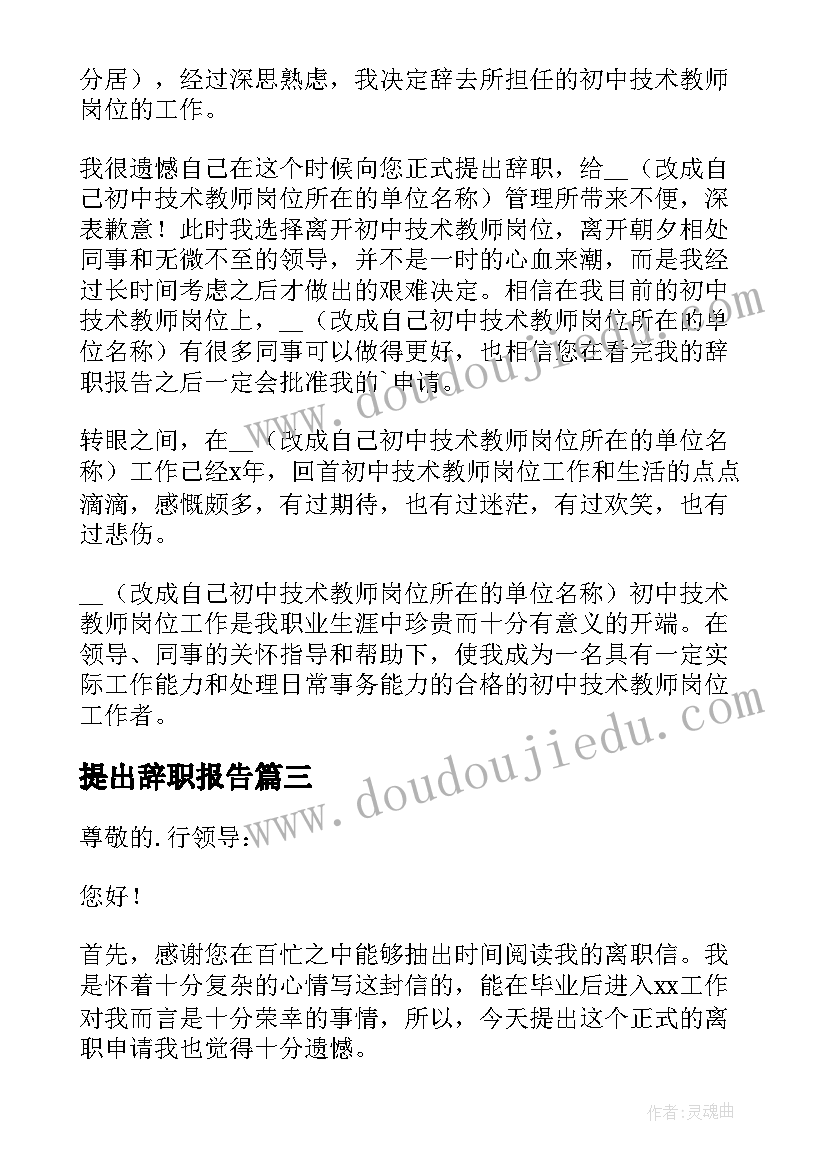 2023年提出辞职报告(优质15篇)