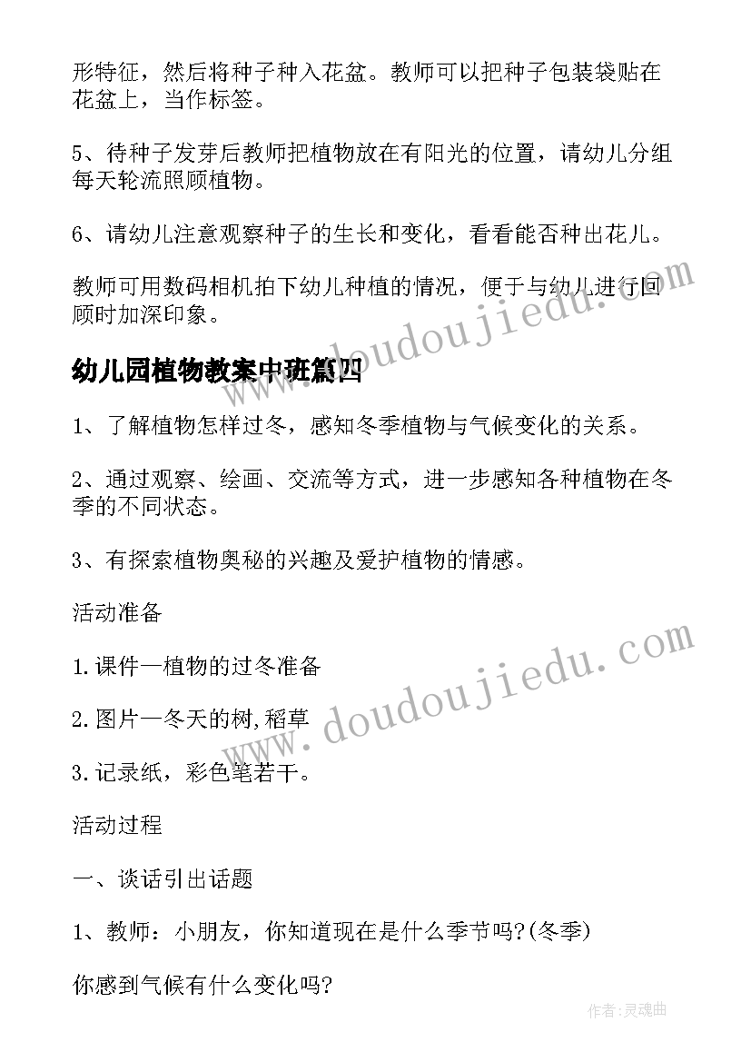 2023年幼儿园植物教案中班 幼儿园植物的教案(优秀10篇)