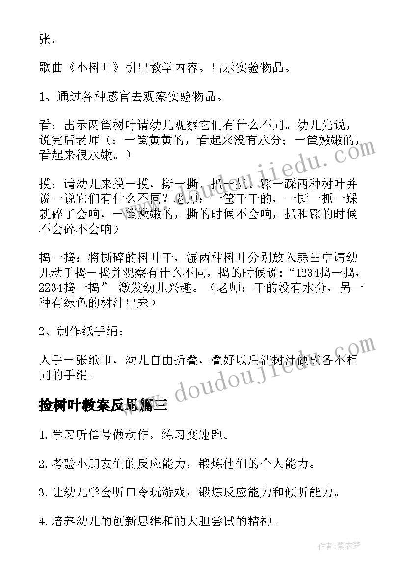 2023年捡树叶教案反思(大全6篇)