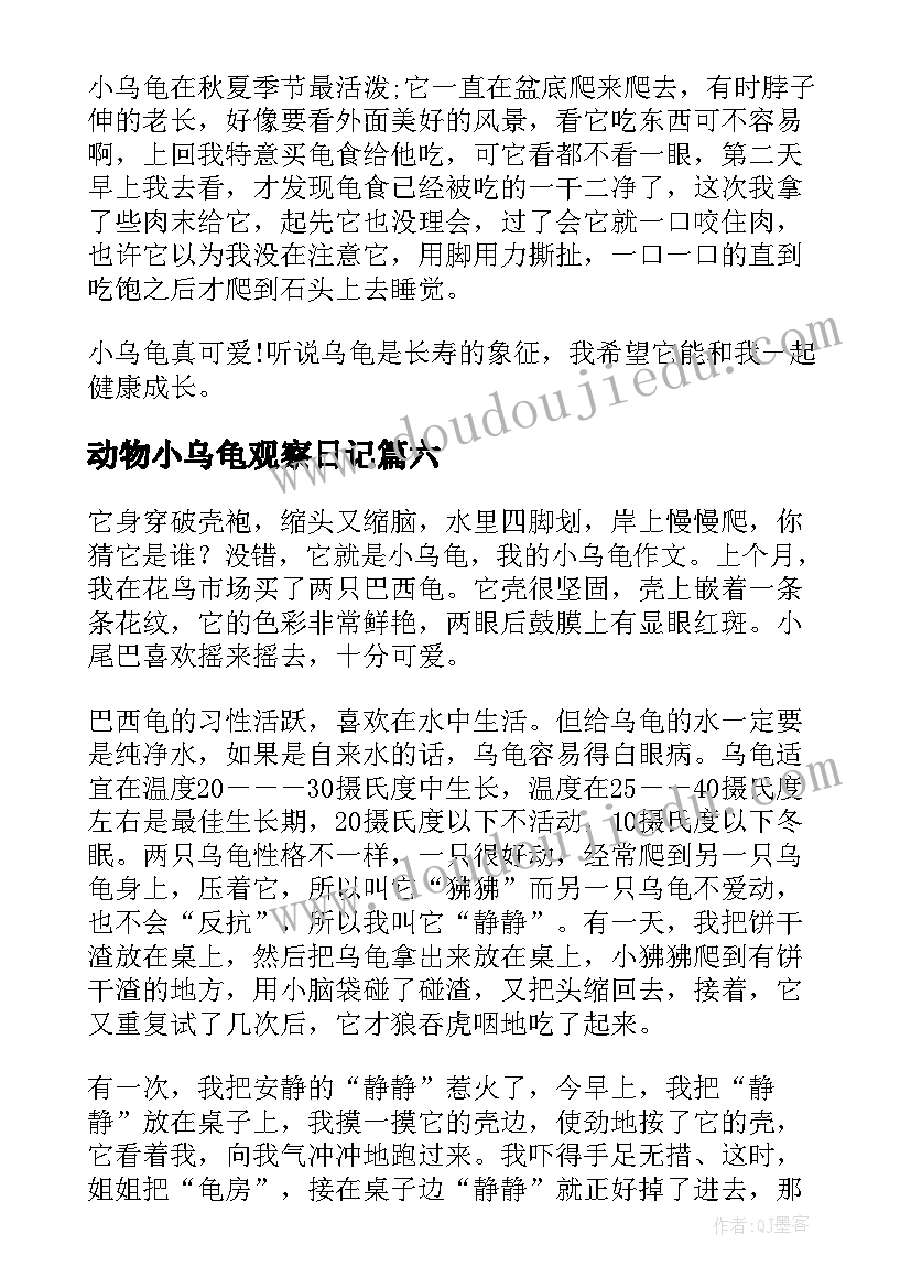 2023年动物小乌龟观察日记(实用8篇)