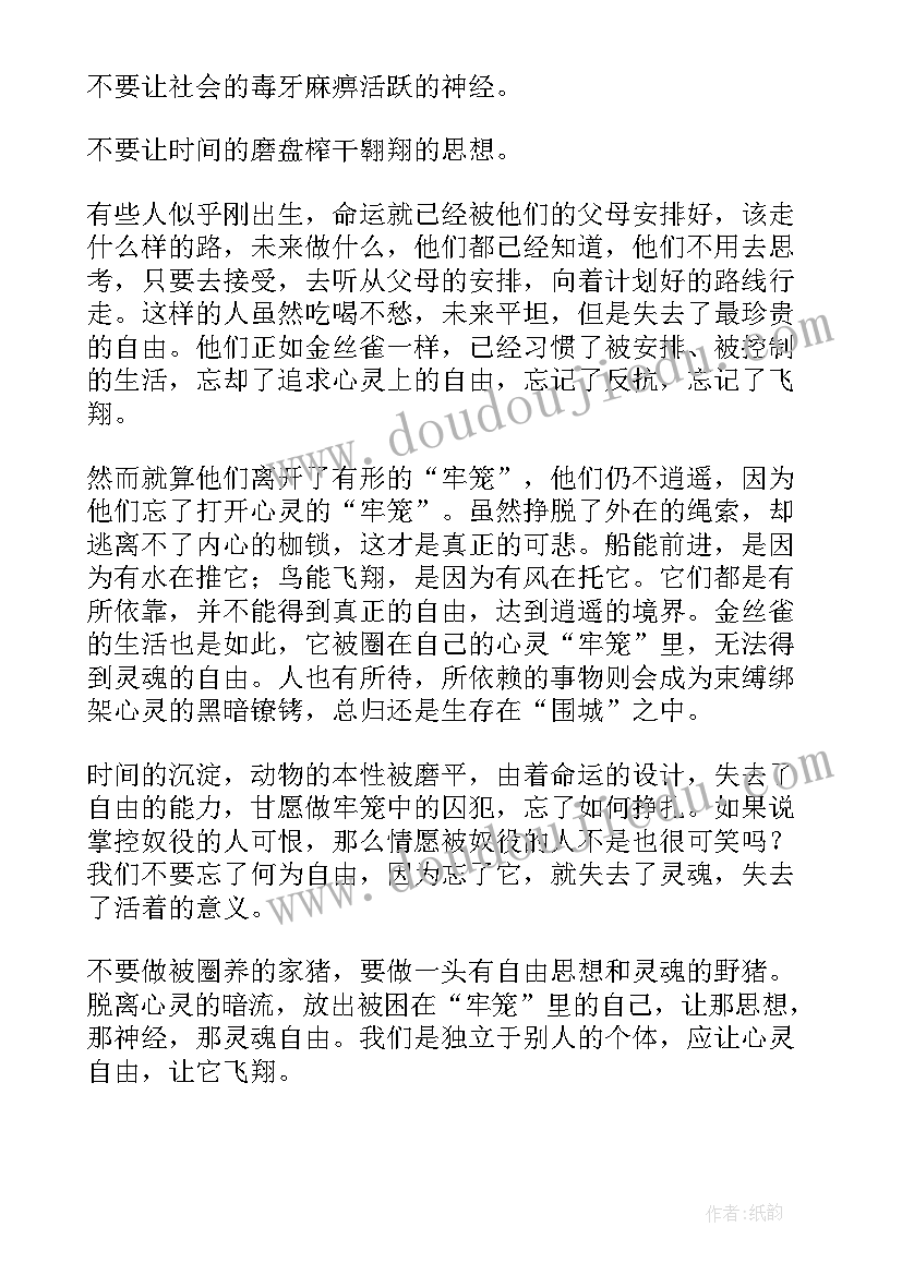 自由的心灵感悟(模板15篇)