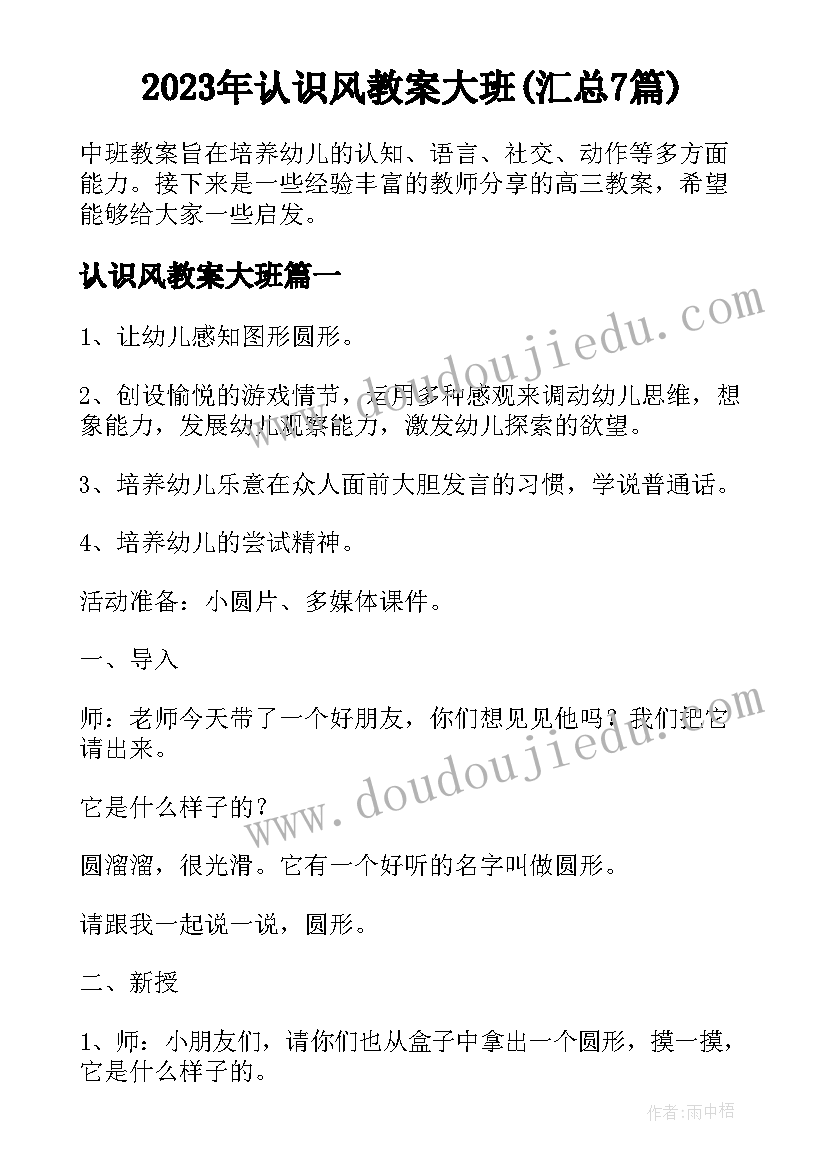 2023年认识风教案大班(汇总7篇)