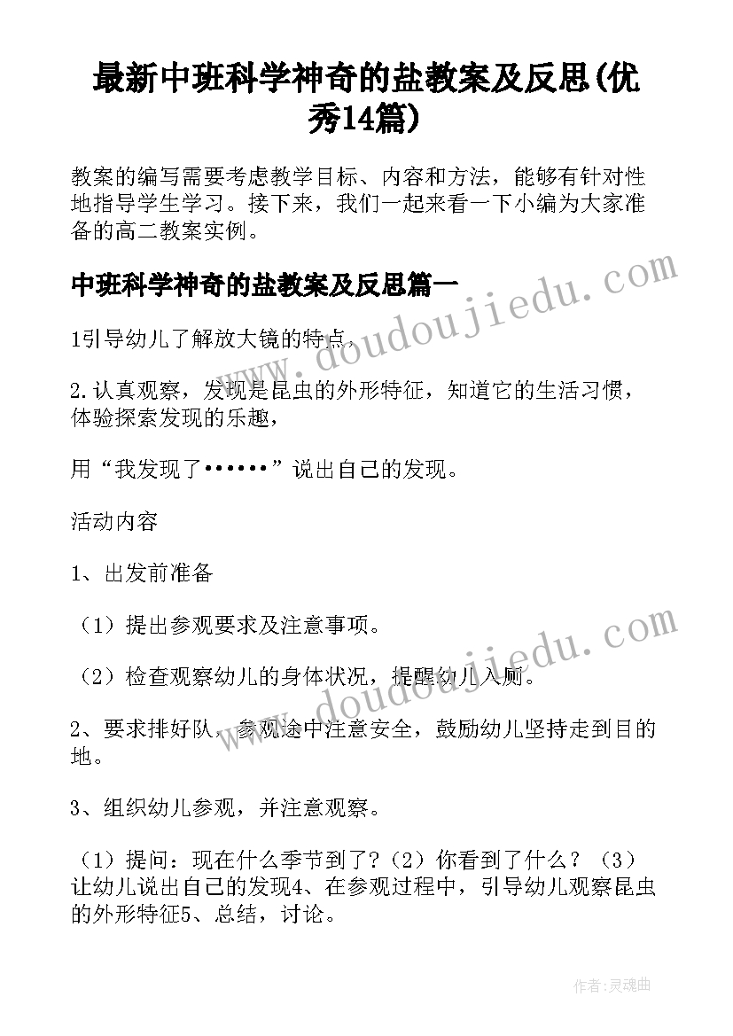 最新中班科学神奇的盐教案及反思(优秀14篇)