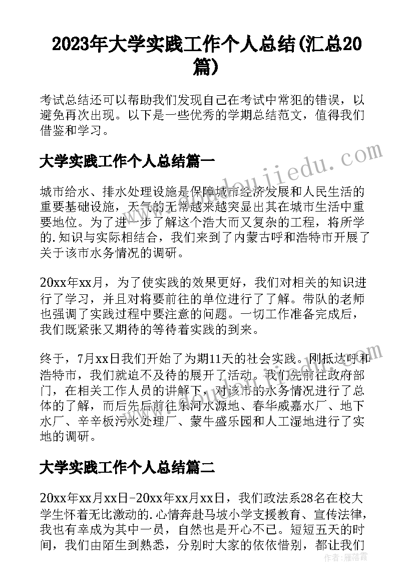 2023年大学实践工作个人总结(汇总20篇)