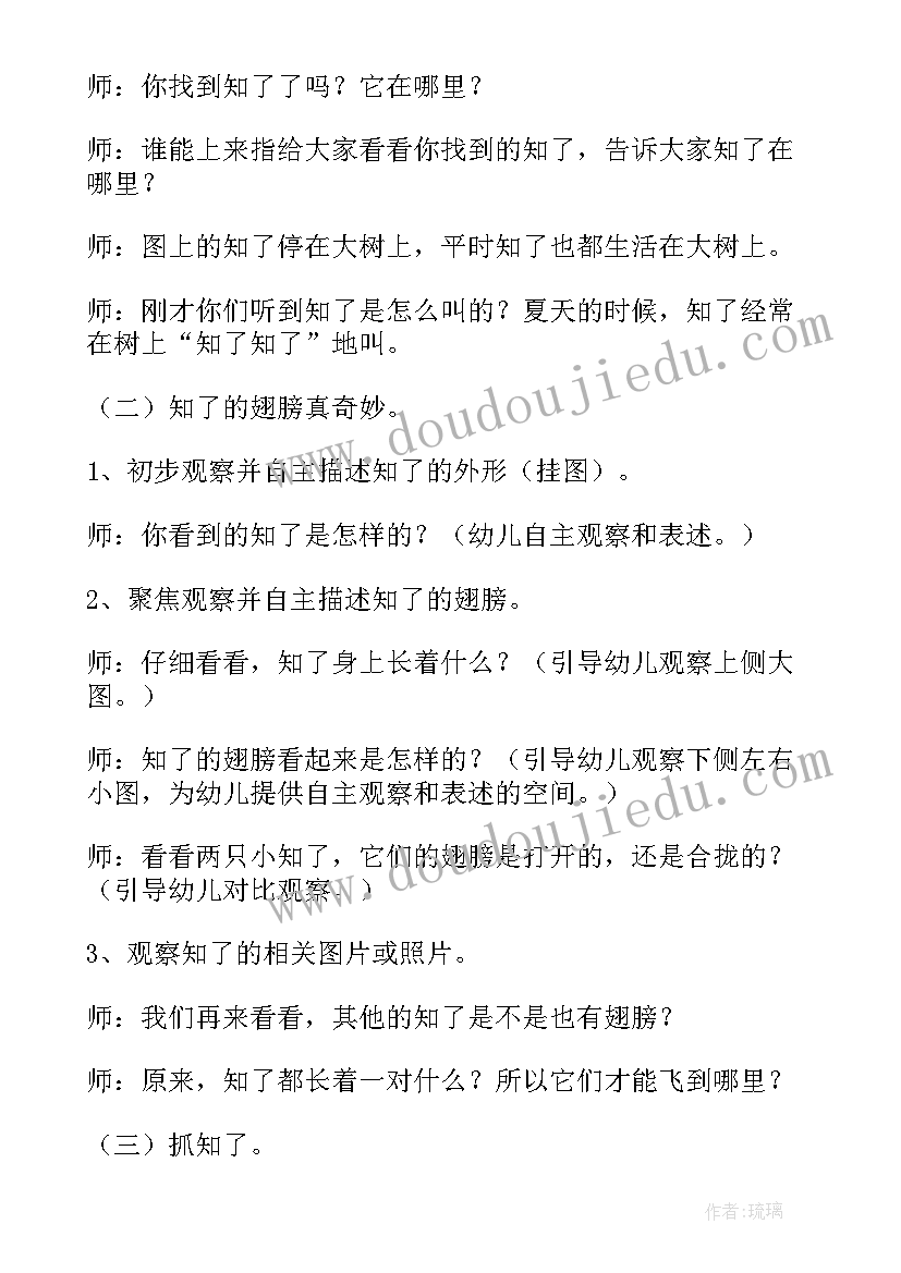 最新夏天活动教案中班(实用9篇)