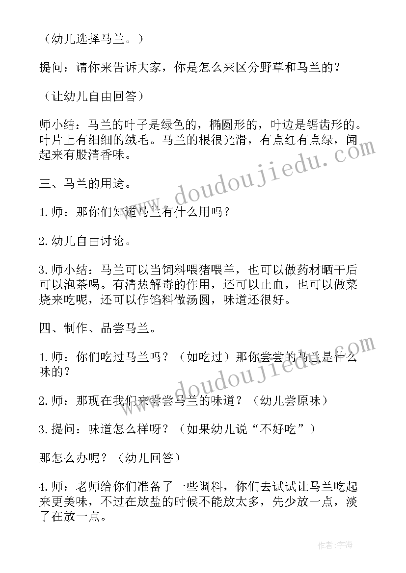 2023年大班科学有趣的镜子教案(汇总12篇)