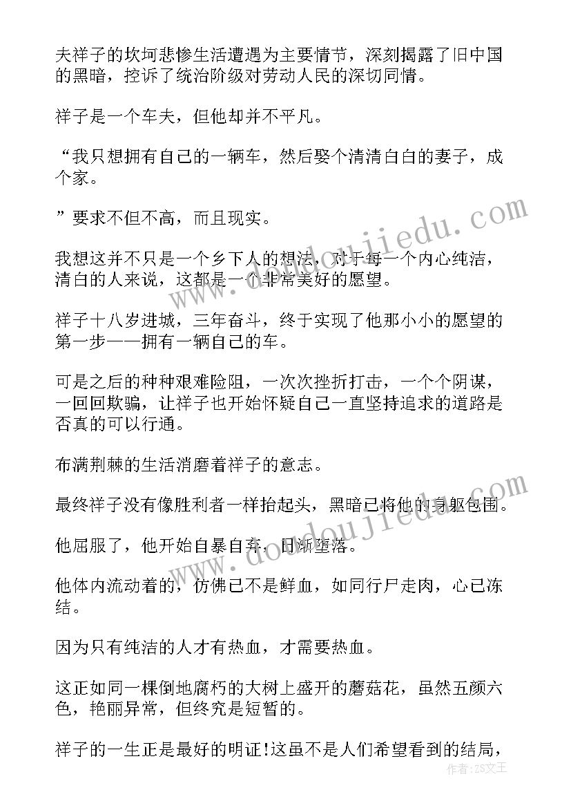 2023年小学骆驼祥子读后感 小学生骆驼祥子读后感骆驼祥子(大全17篇)