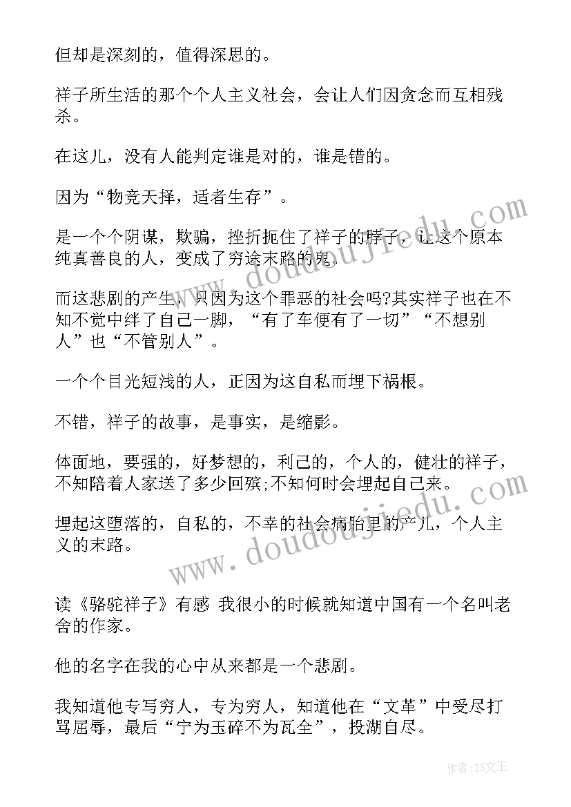 2023年小学骆驼祥子读后感 小学生骆驼祥子读后感骆驼祥子(大全17篇)