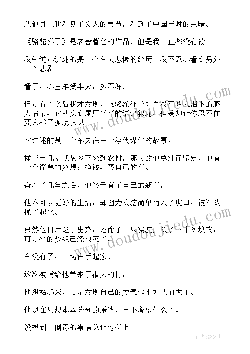 2023年小学骆驼祥子读后感 小学生骆驼祥子读后感骆驼祥子(大全17篇)