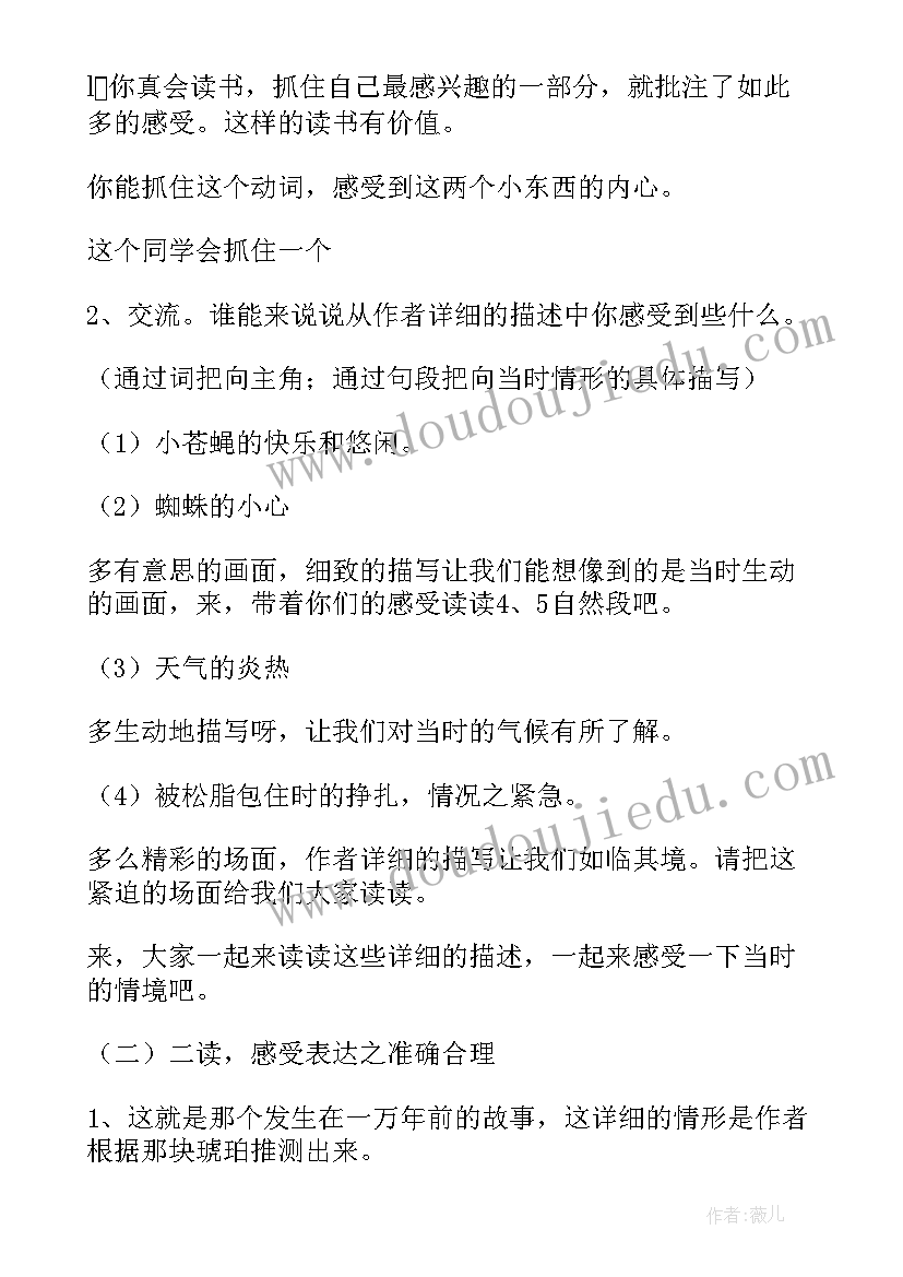 2023年琥珀教学反思第一课时 琥珀的教学设计与教学反思(通用8篇)