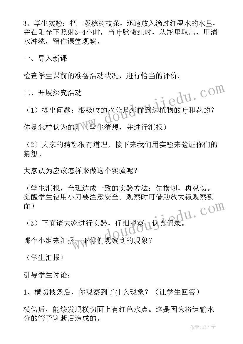 2023年大班植物角教案 大班植物教案(优秀18篇)