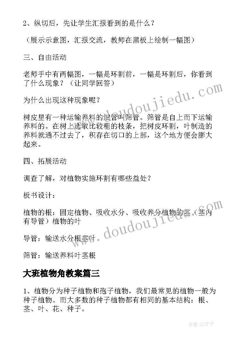 2023年大班植物角教案 大班植物教案(优秀18篇)