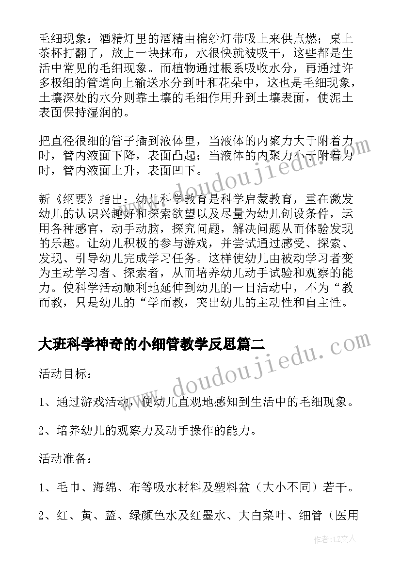 2023年大班科学神奇的小细管教学反思(实用8篇)