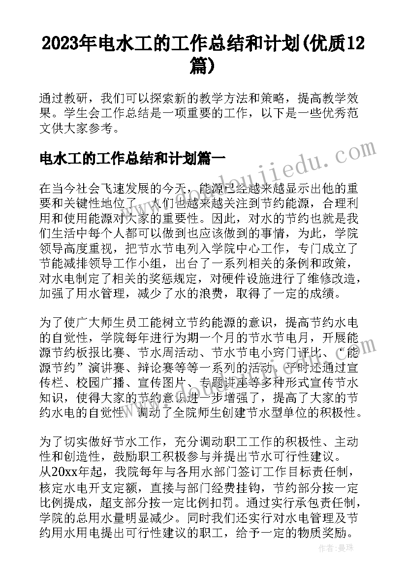 2023年电水工的工作总结和计划(优质12篇)