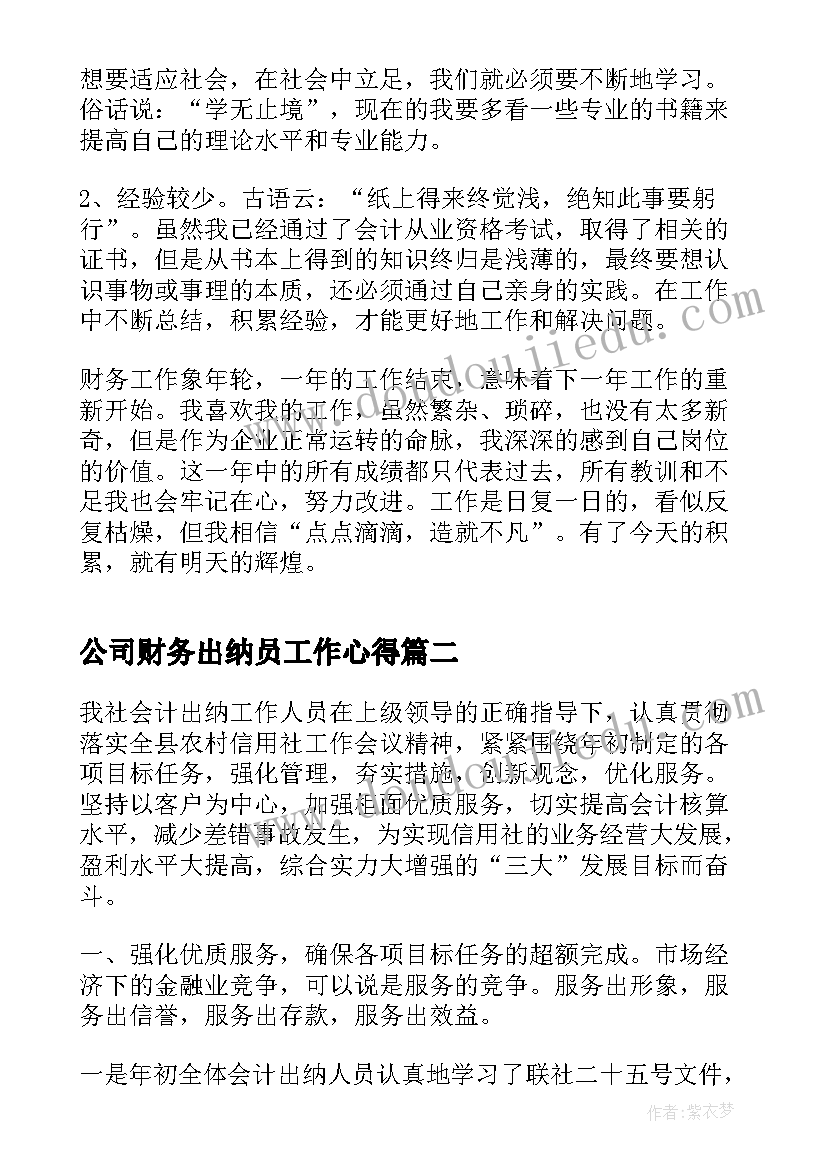 公司财务出纳员工作心得(实用8篇)