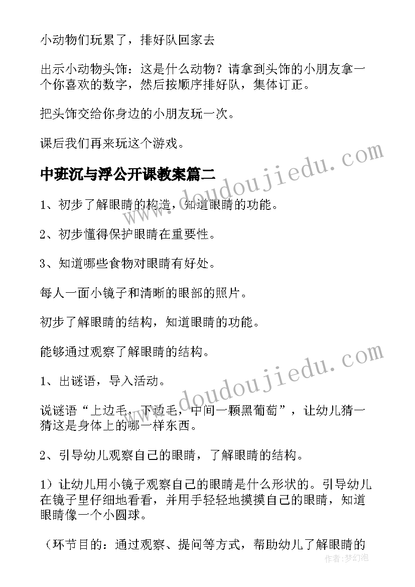 2023年中班沉与浮公开课教案(精选13篇)