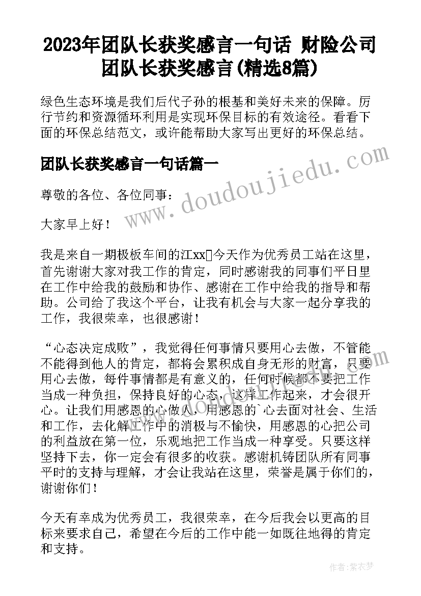 2023年团队长获奖感言一句话 财险公司团队长获奖感言(精选8篇)