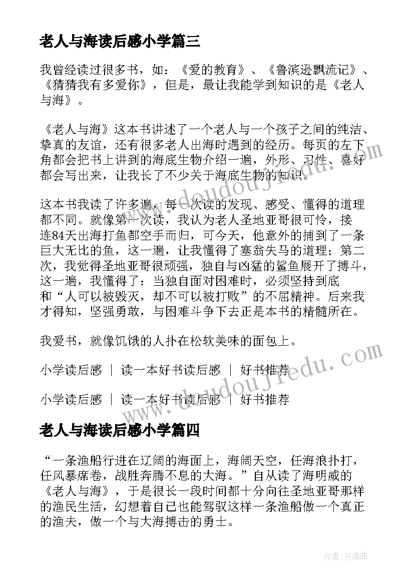 最新老人与海读后感小学 小学老人与海读后感(模板9篇)