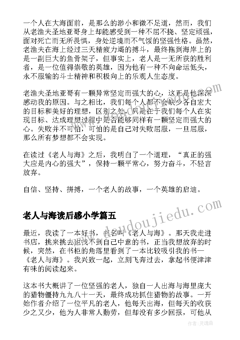 最新老人与海读后感小学 小学老人与海读后感(模板9篇)