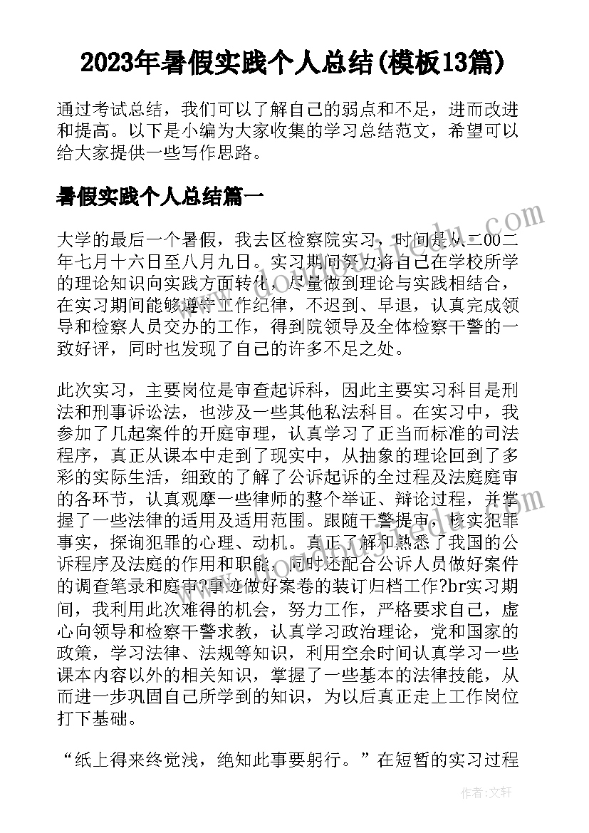 2023年暑假实践个人总结(模板13篇)