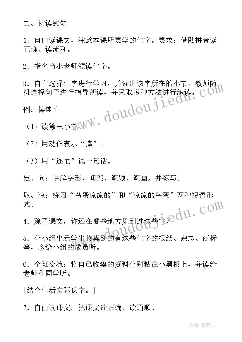 护蛋行动教案(优质12篇)