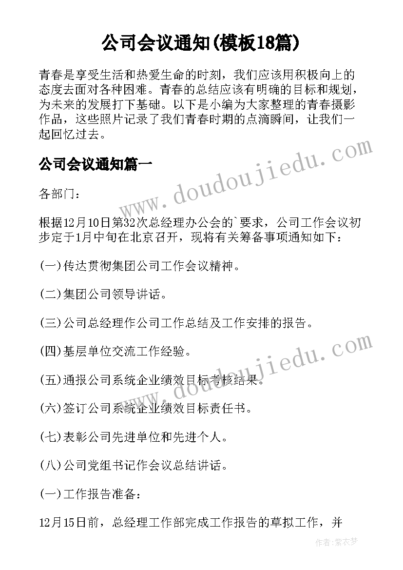 公司会议通知(模板18篇)