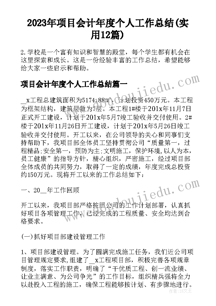 2023年项目会计年度个人工作总结(实用12篇)