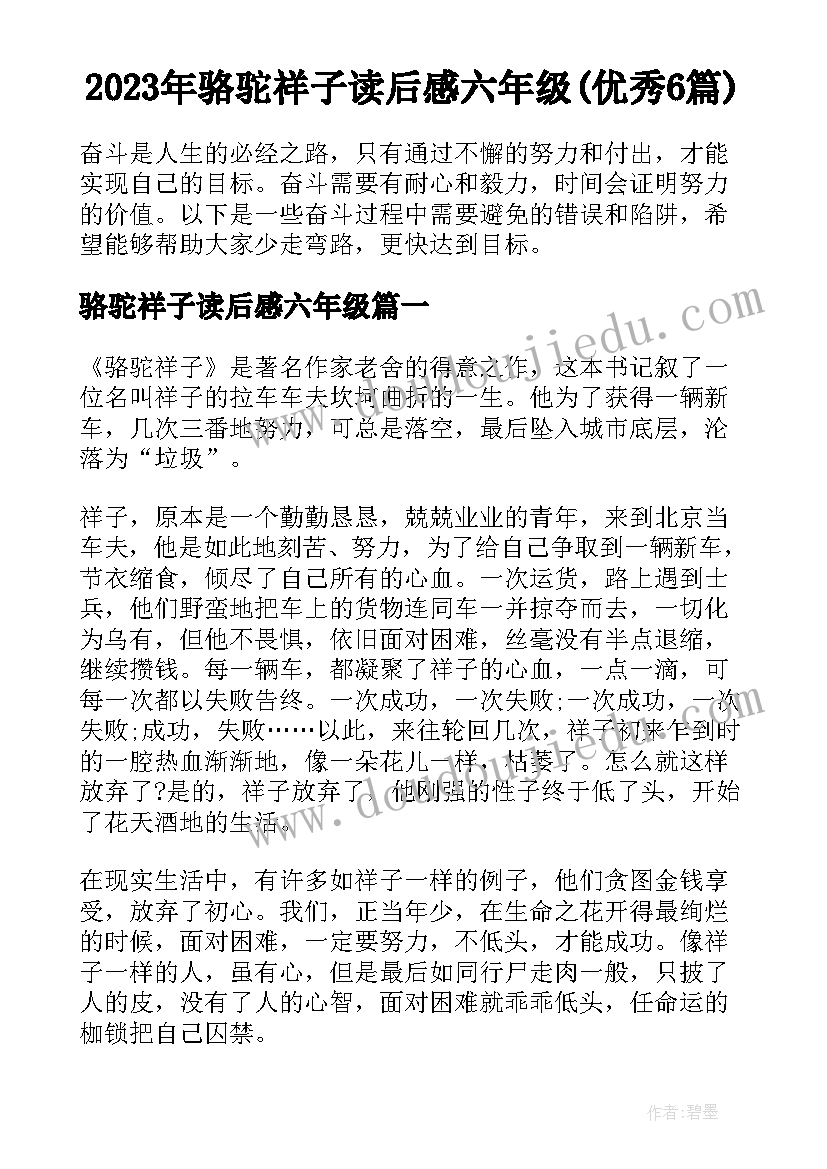 2023年骆驼祥子读后感六年级(优秀6篇)