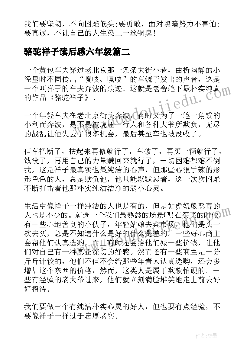 2023年骆驼祥子读后感六年级(优秀6篇)