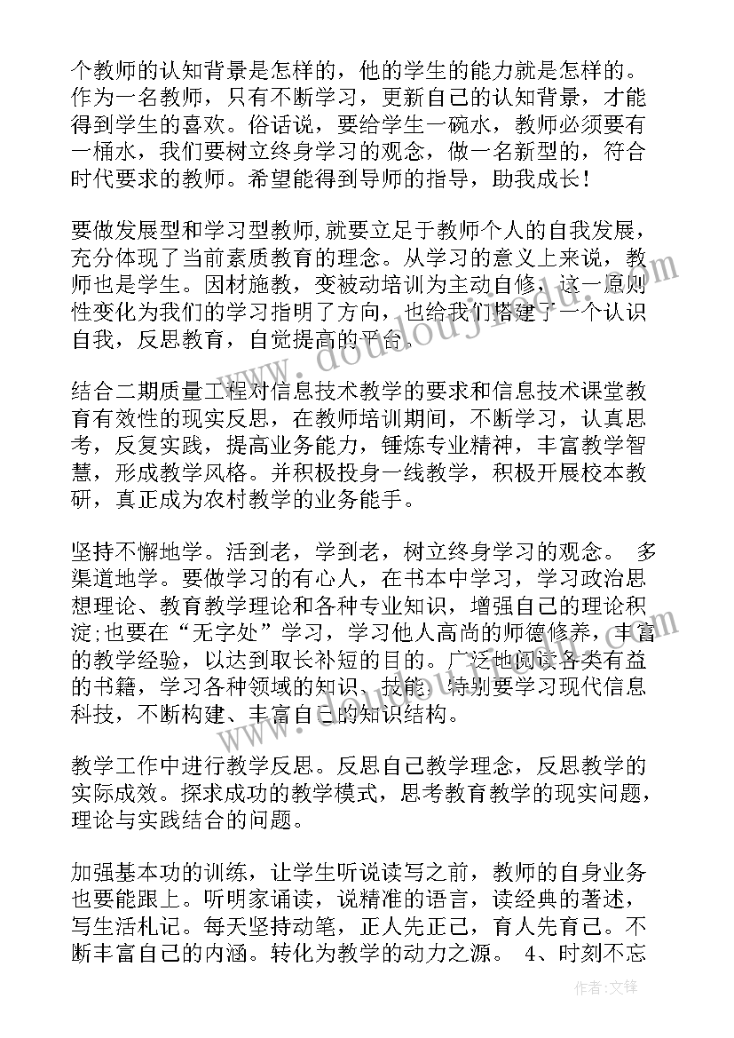 体育信息技术 信息技术个人研修工作计划(实用12篇)