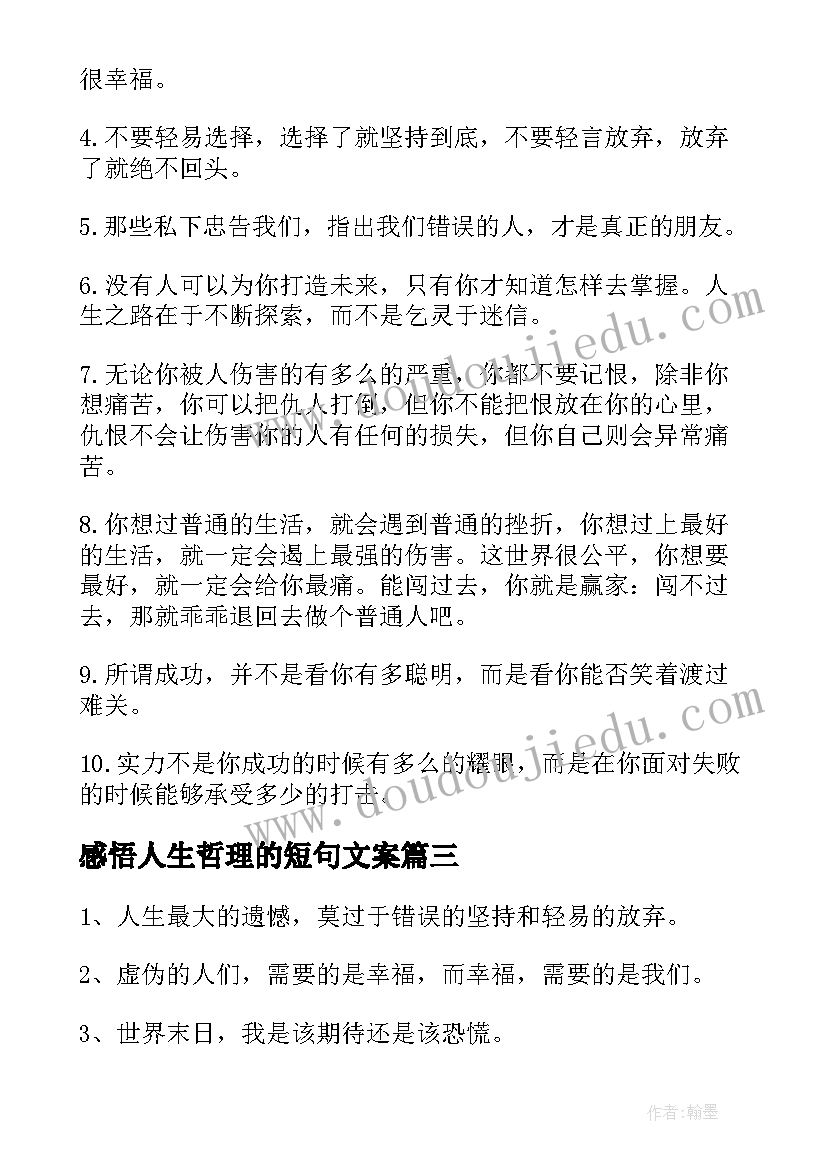 2023年感悟人生哲理的短句文案 对感悟人生哲理短句(大全8篇)