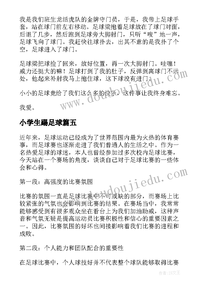 2023年小学生踢足球 踢足球赛的心得体会(实用10篇)