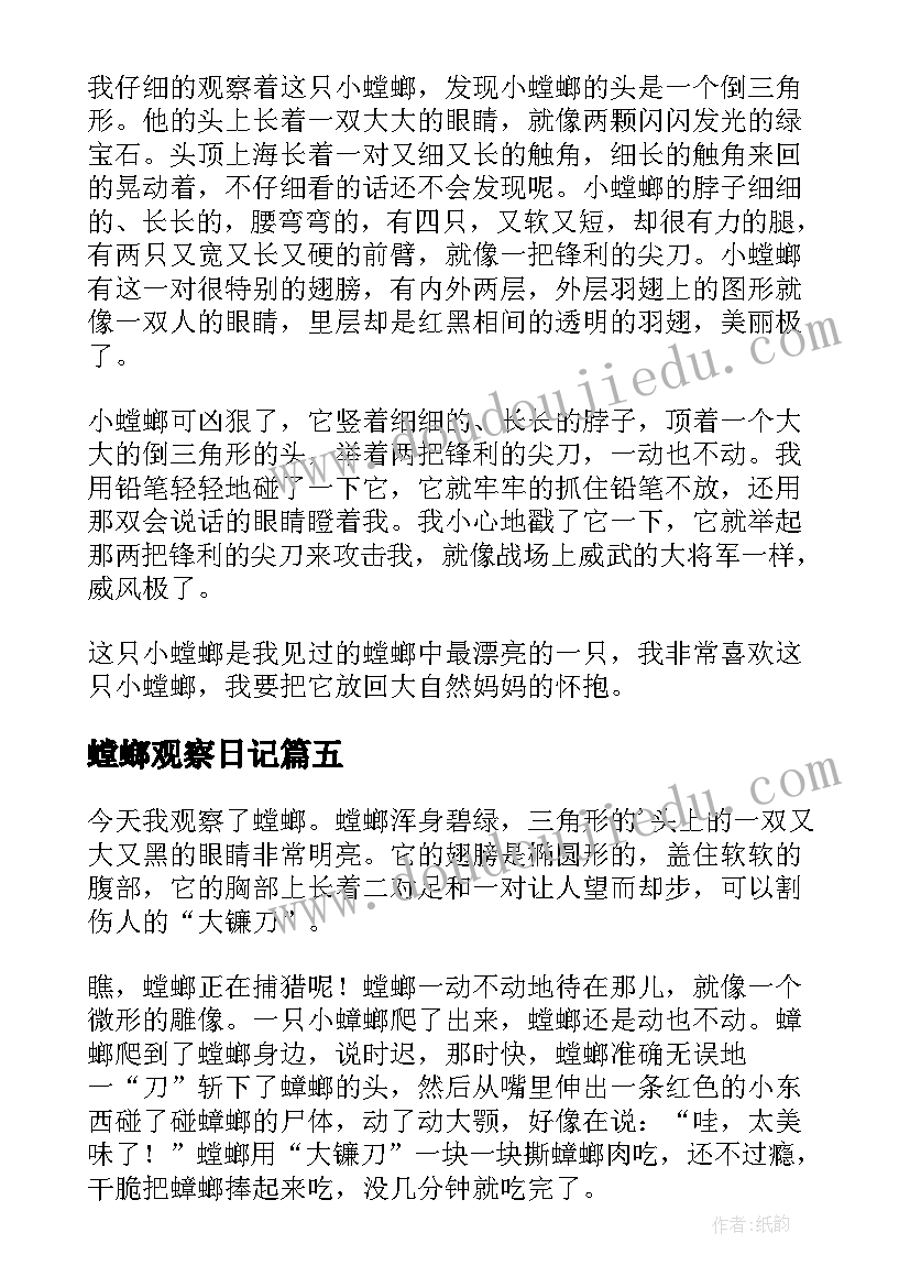 2023年螳螂观察日记(实用8篇)