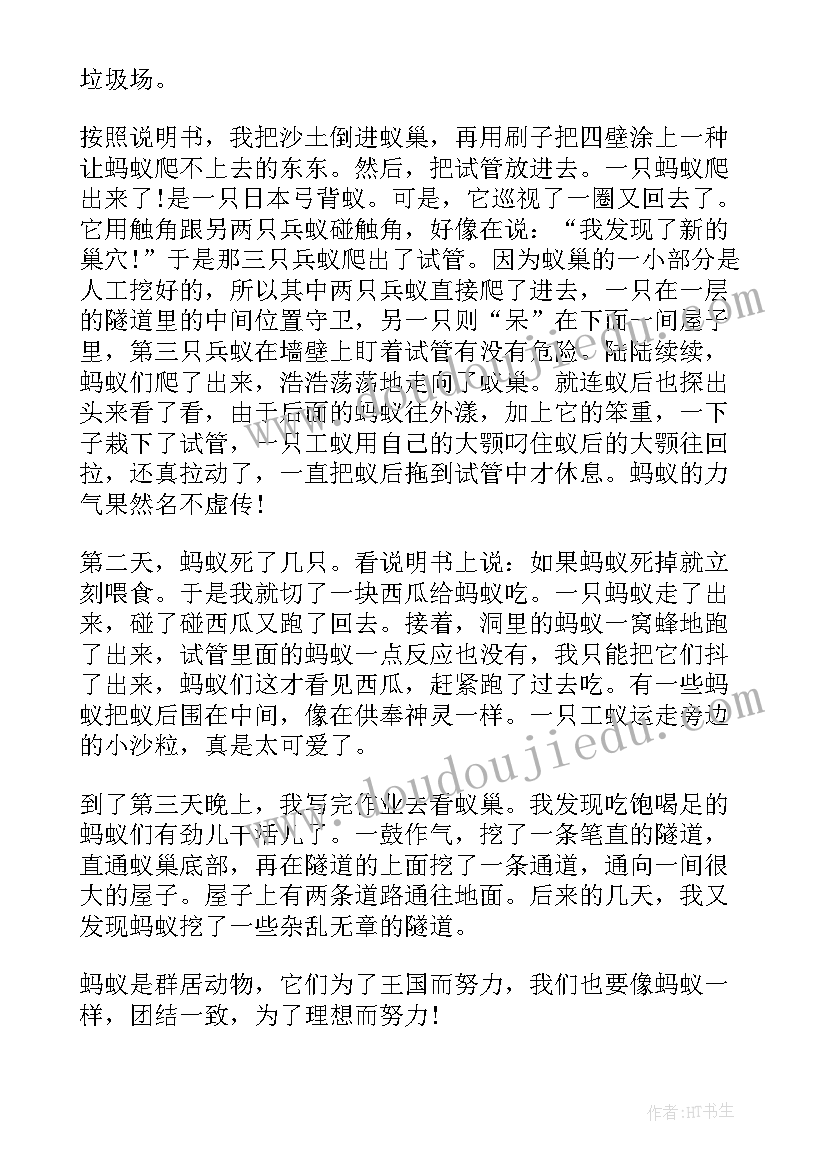 观察蚂蚁的详细记录 观察蚂蚁日记(通用12篇)