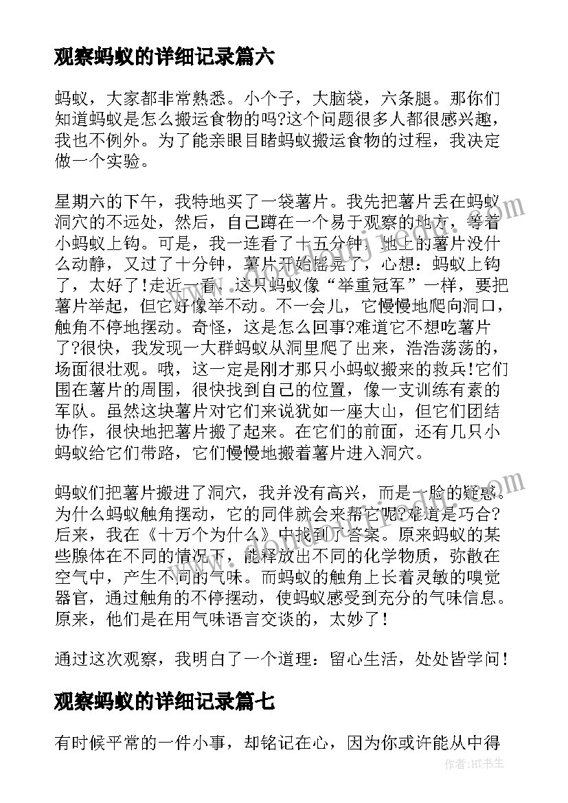 观察蚂蚁的详细记录 观察蚂蚁日记(通用12篇)