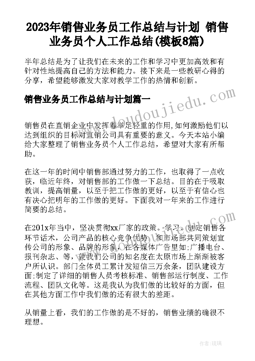 2023年销售业务员工作总结与计划 销售业务员个人工作总结(模板8篇)