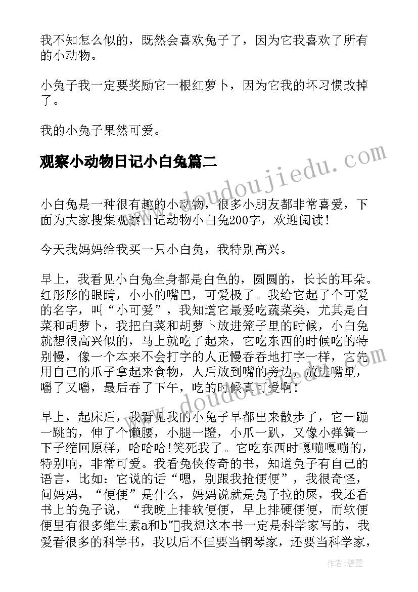 2023年观察小动物日记小白兔(通用7篇)