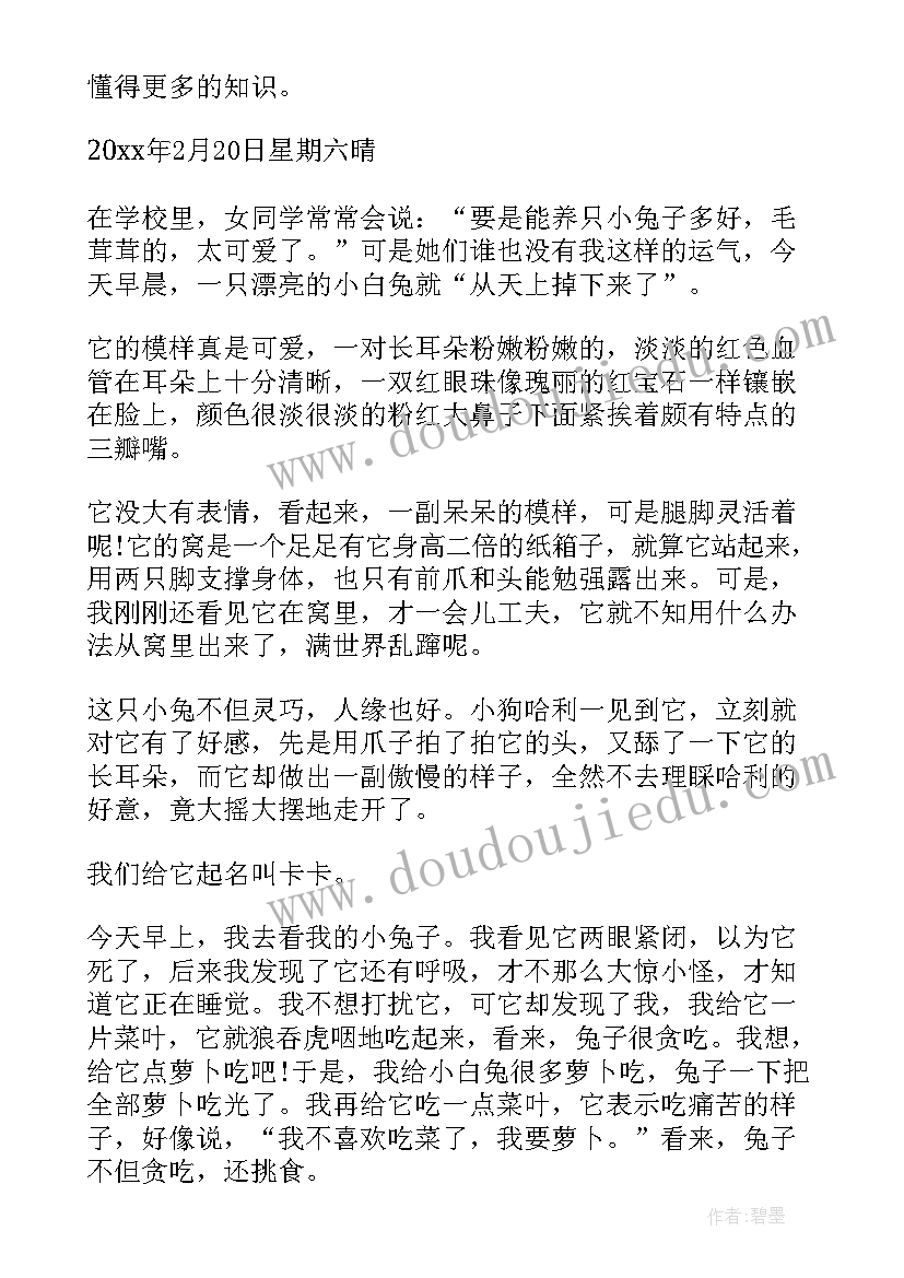 2023年观察小动物日记小白兔(通用7篇)