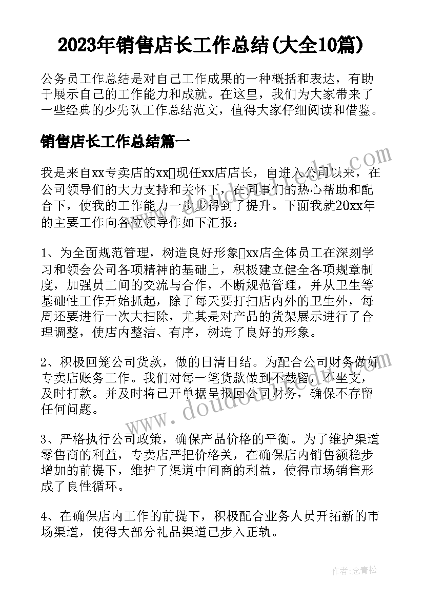 2023年销售店长工作总结(大全10篇)